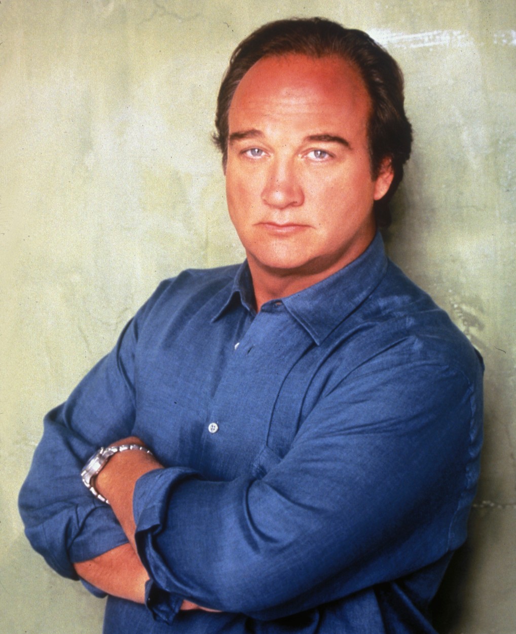 Uspešen igralec je tudi Johnov mlajši brat Jim Belushi.